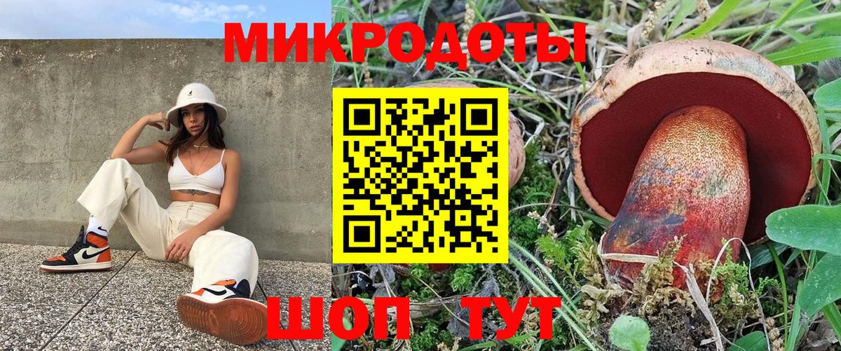 Димитровград  Псилоцибиновые грибы Magic Shrooms  Псилоцибиновые грибы Cubensis  Вход с VPN 